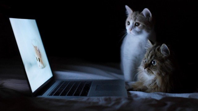 12 nützliche Websites, die Sie nicht wussten, 12 полезных сайтов, о которых вы не знали