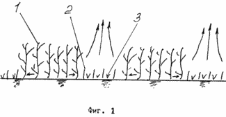 METHODE des Anbaus