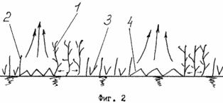 METHODE des Anbaus
