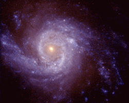 Spiralgalaxie