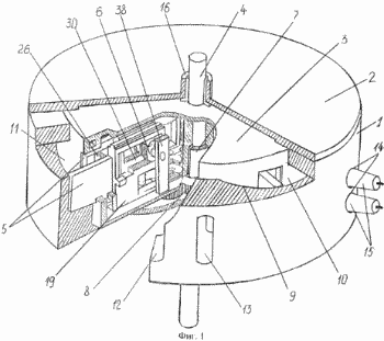 Rotationsverbrennungskraftmaschine. Russische Föderation Patent RU2271302