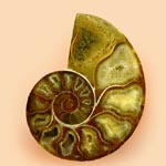 Halbedelsteine, Edelsteine