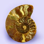 Halbedelsteine, Edelsteine