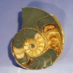 Halbedelsteine, Edelsteine