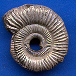 Halbedelsteine, Edelsteine