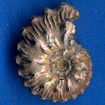 Halbedelsteine, Edelsteine