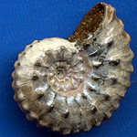 Halbedelsteine, Edelsteine