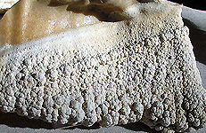 Halbedelsteine, Edelsteine