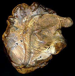 Halbedelsteine, Edelsteine