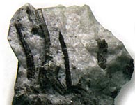 Halbedelsteine, Edelsteine