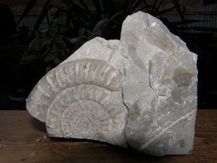 Halbedelsteine, Edelsteine