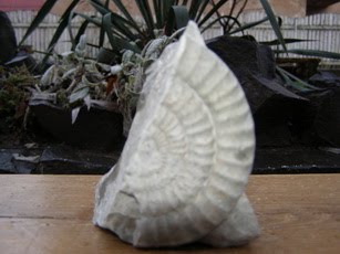 Halbedelsteine, Edelsteine