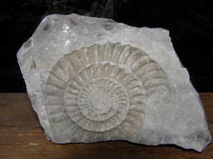 Halbedelsteine, Edelsteine