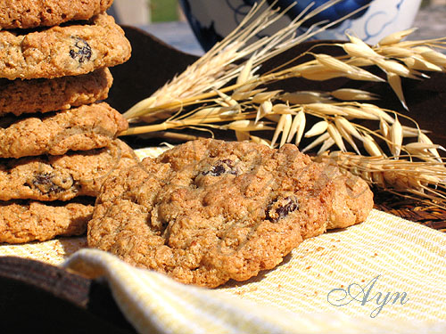 Oatmeal Cookies Овсяное печенье