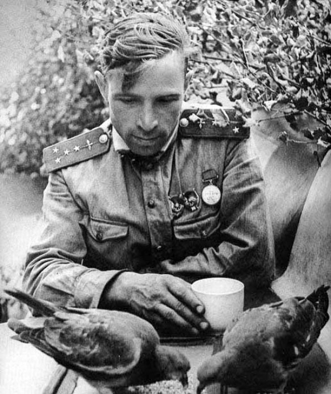 30 Fotos des Großen Vaterländischen Krieges 30 снимков Великой Отечественной войны