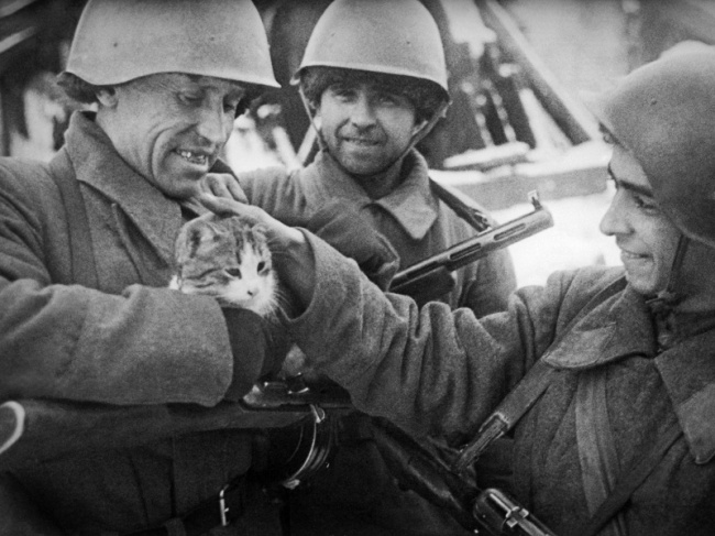 30 Fotos des Großen Vaterländischen Krieges 30 снимков Великой Отечественной войны